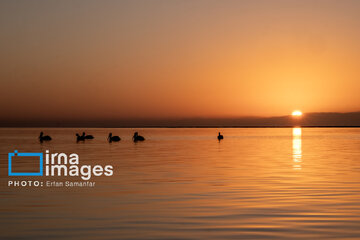 Tiyab Bay, habitat of migratory birds