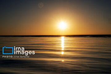 Tiyab Bay, habitat of migratory birds