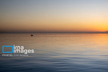 Tiyab Bay, habitat of migratory birds