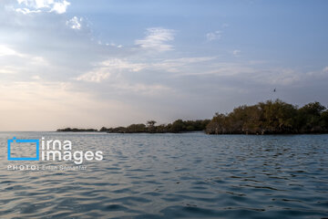 Tiyab Bay, habitat of migratory birds