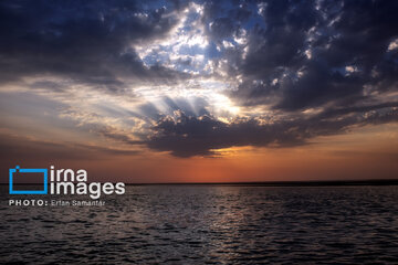 Tiyab Bay, habitat of migratory birds