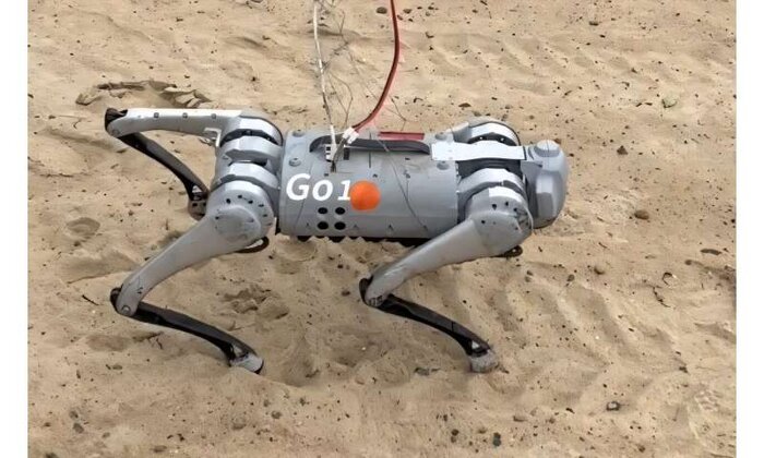 سُم گوزن شمالی الهامبخش دانشمندان برای طراحی رباتها