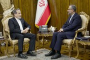 Araghchi calls for pursuing agenda of Iran-Austria cooperation