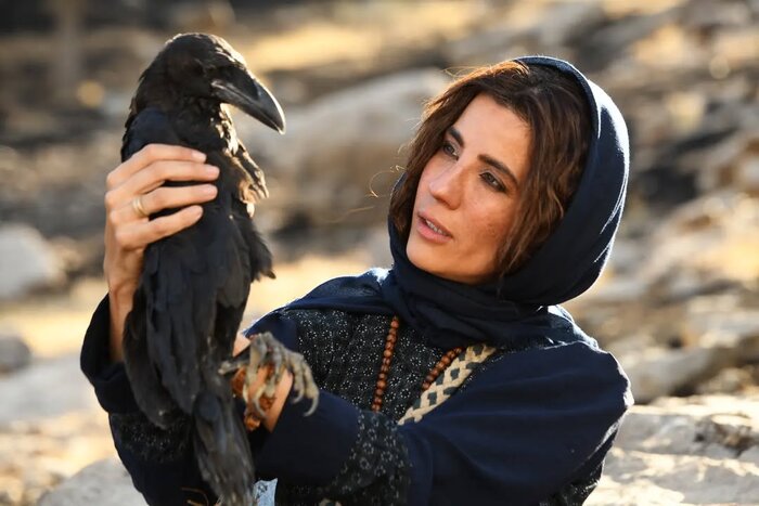 نگاهی به نکتههای کنجکاویبرانگیز ۳۳ فیلم جشنواره فجر