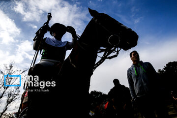 Iran's 2024 National female Polo League