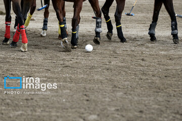 Iran's 2024 National female Polo League