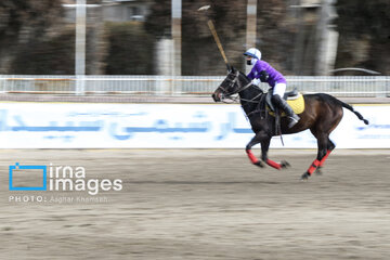 Iran's 2024 National female Polo League