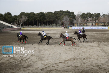 Iran's 2024 National female Polo League