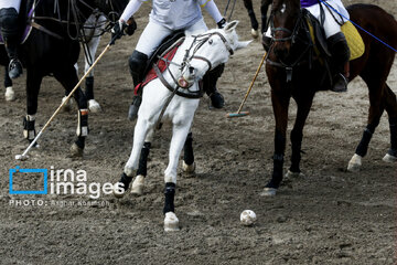 Iran's 2024 National female Polo League