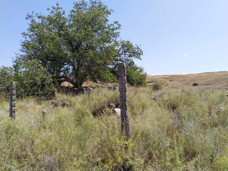 قبرستان «باغلق»؛ گورستانی عجیب در جرگلان خراسان شمالی