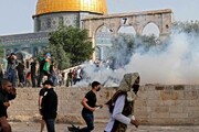 European NGO reports Israeli crimes in al-Quds in 2024