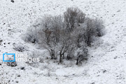 کمبود بارندگی زمستانی در آذربایجان‌غربی؛ چشم انتظار بهبود بارش در هفته آخر دی