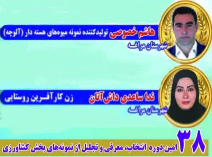 ۲ بهرهبردار بخش کشاورزی مراغه نمونه ملی شناخته شدند