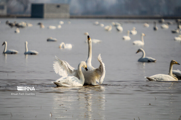 آشتی با بهشت
