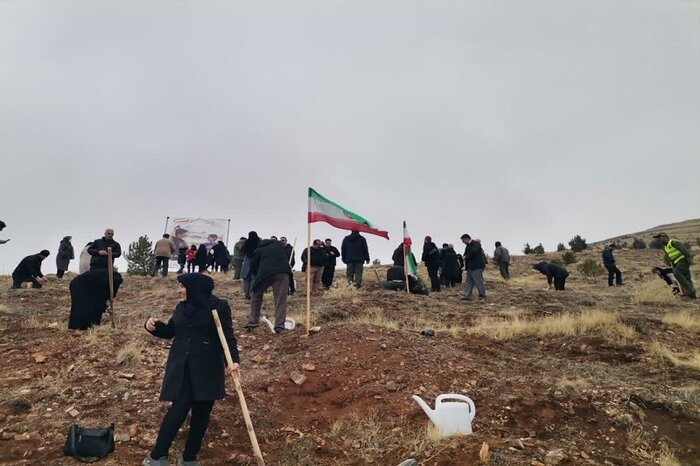 آغاز پویش درختکاری «به نام پدر» در ۱۷ شهرستان کرمانشاه + فیلم