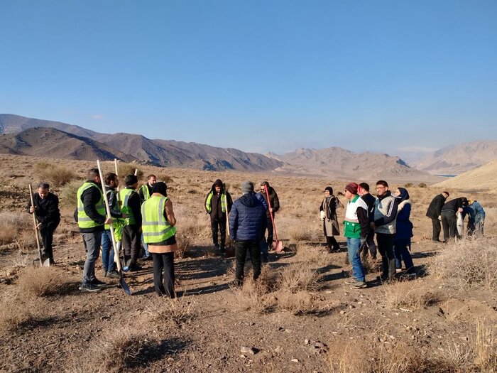 سایهای از عشق بر زمین در ساوه