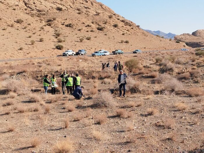 سایهای از عشق بر زمین در ساوه