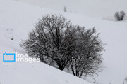 سرمای زمستانی در آذربایجان‌غربی تداوم دارد