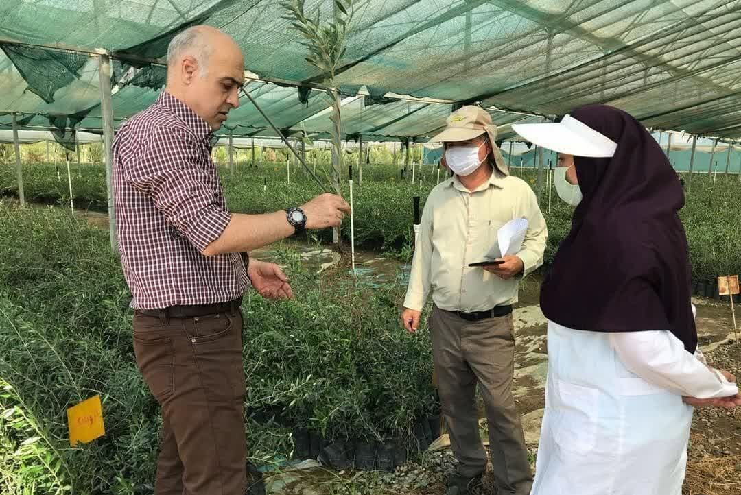 فارغ التحصیلان رشته کشاورزی در روستاهای استان تهران مشغول به کار می شوند فارغ التحصیلان رشته کشاورزی در روستاهای استان تهران مشغول به کار می شوند