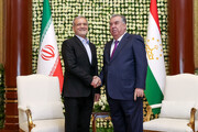 Iran, Tajikistan presidents begin talks in Dushanbe