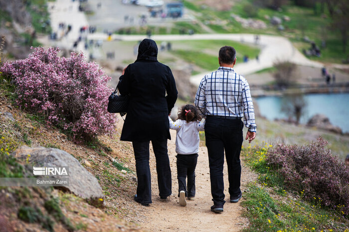 چطور تور مناسبی برای خانوادههای بزرگ پیدا کنیم؟ راهنمای کامل برای انتخاب بهترین تورهای خانوادگی 3 دلایل مهم بودن تور خانوادگی