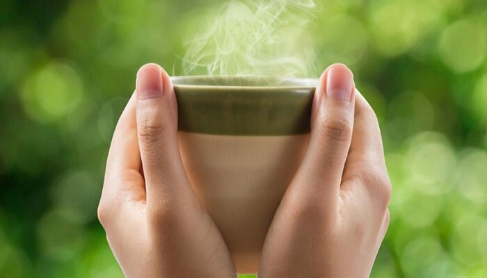 چای سبز فنجانی برای دستیابی به زندگی سالم و متعادل