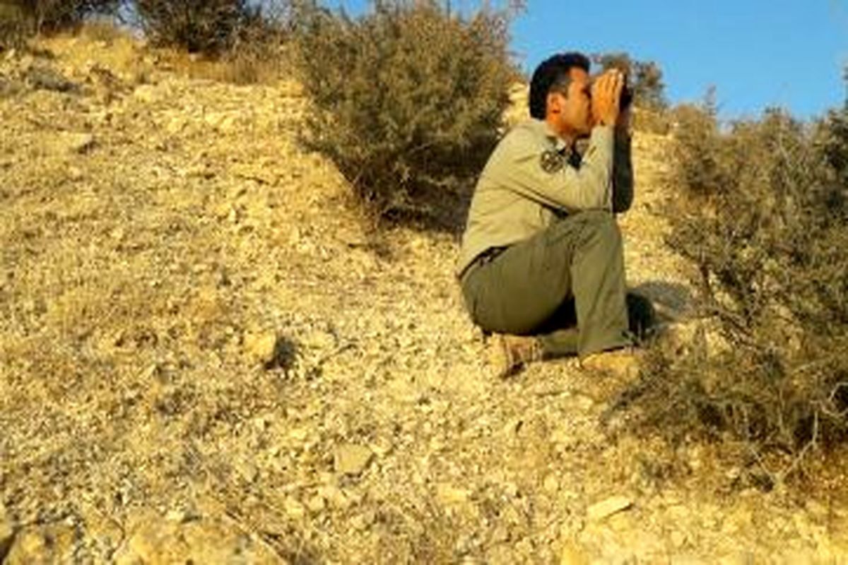 ۱۲ شکارچی متخلف در جغتای به دام افتادند - ایرنا