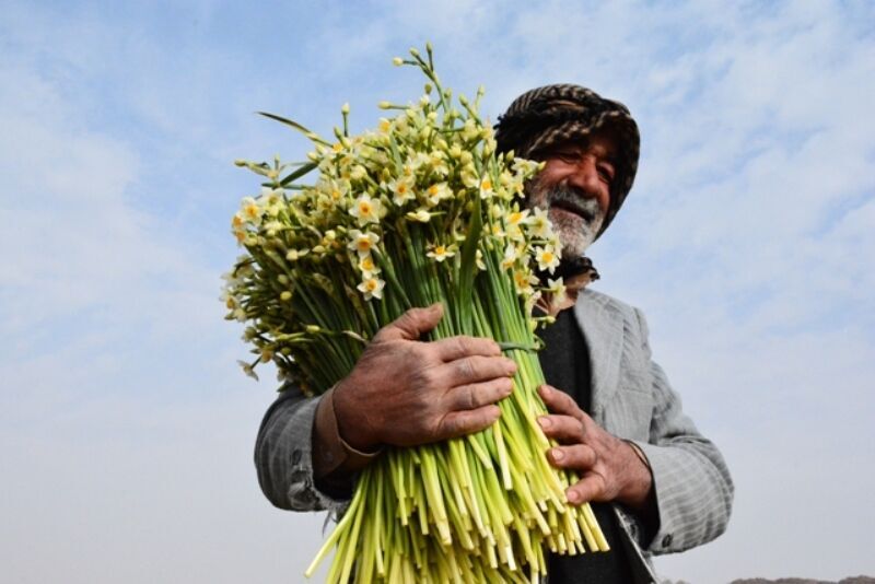 جشواره  گل نرگس بهبهان  از ظرفیت ملی و بین‌المللی برخوردار است