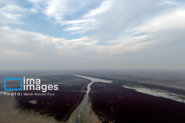 Miankaleh Wetland