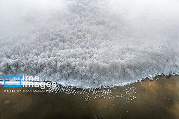 Snow whitens Iranian northern province of Mazandaran