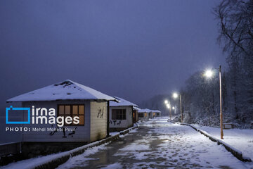 Snow whitens Iranian northern province of Mazandaran