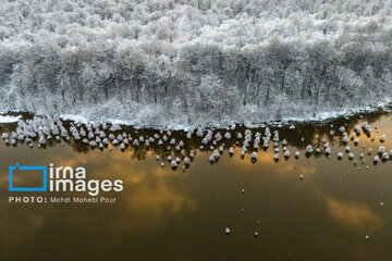 Snow whitens Iranian northern province of Mazandaran