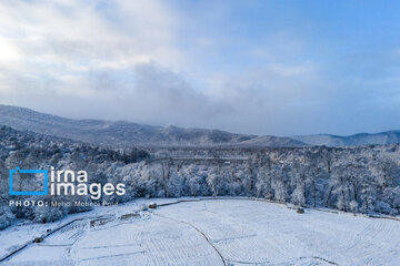 Snow whitens Iranian northern province of Mazandaran