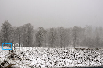 Snow whitens Iranian northern province of Mazandaran