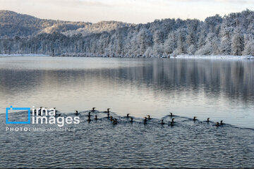 Snow whitens Iranian northern province of Mazandaran