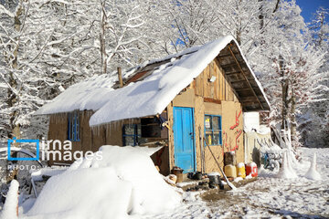 Snow whitens Iranian northern province of Mazandaran