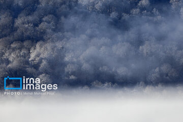 Snow whitens Iranian northern province of Mazandaran