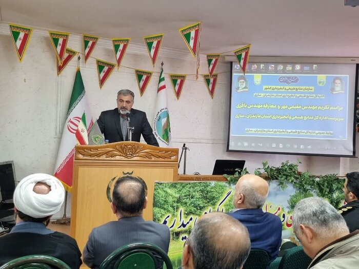 معاون سازمان منابع طبیعی: جنگل‌های هیرکانی منبع تامین چوب نیست