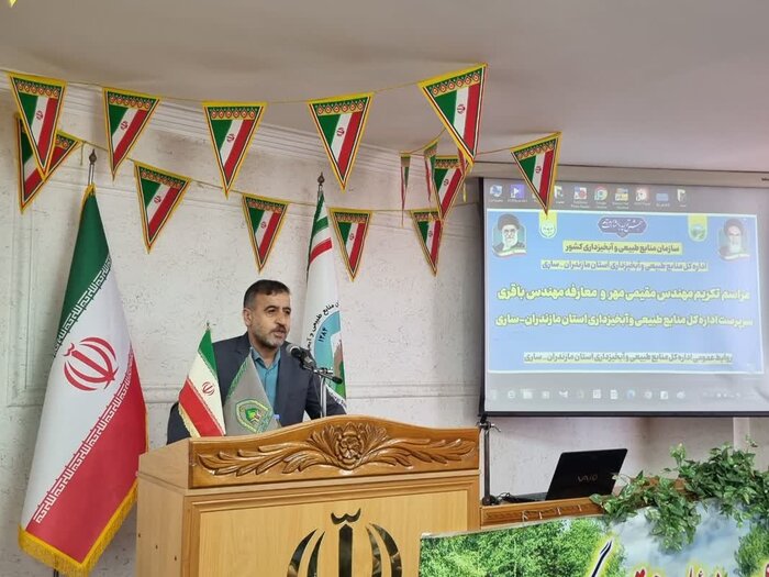 معاون سازمان منابع طبیعی: جنگلهای هیرکانی منبع تامین چوب نیست