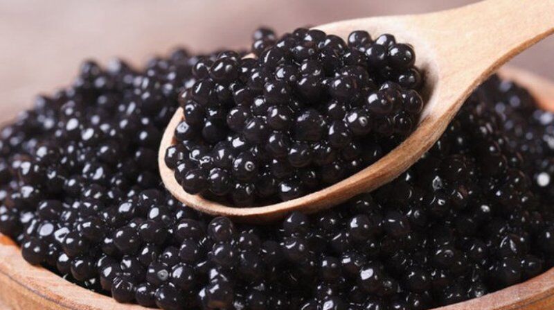 Export of farmed caviar from Iran sees 112% growth in 9 months: Official