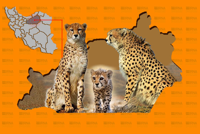 حفاظت از یوز آسیایی؛ عهدی ملی با رویکردی نو