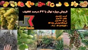 فروش ویژه نهال با ۶۷ درصد تخفیف