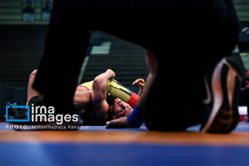 Iran's junior Greco-Roman wrestling championships 