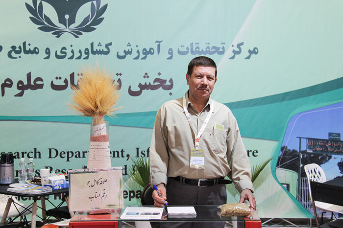 «سورگوم»، کلید پایداری صنعت دام و طیور در بحران کم آبی