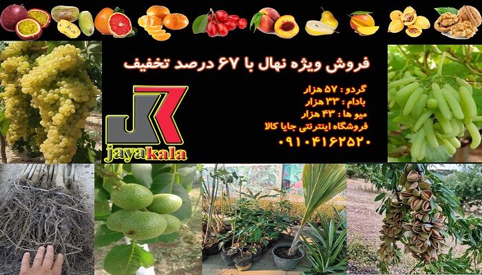 فروش ویژه نهال با ۶۷ درصد تخفیف