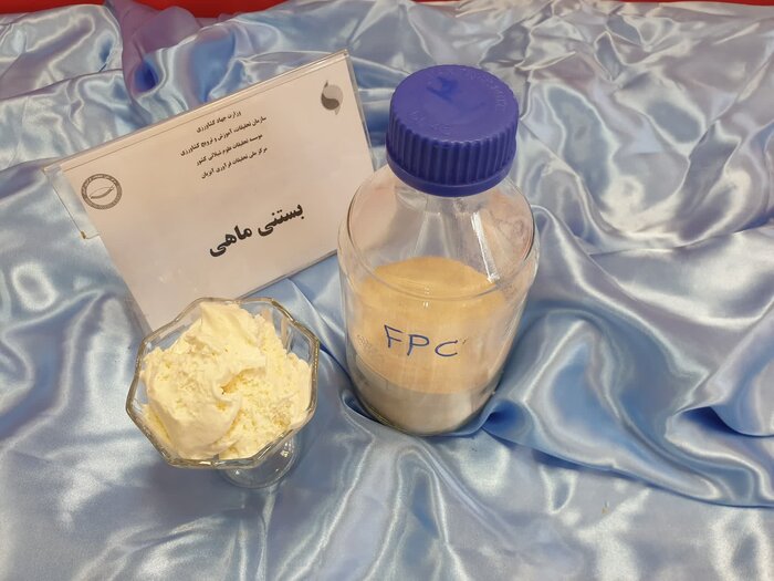 صنایع شیلاتی پیشرو در گیلان؛ از ضرورت حمایت تا فرهنگسازی