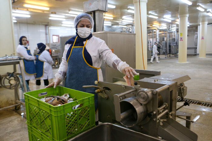 صنایع شیلاتی پیشرو در گیلان؛ از ضرورت حمایت تا فرهنگسازی