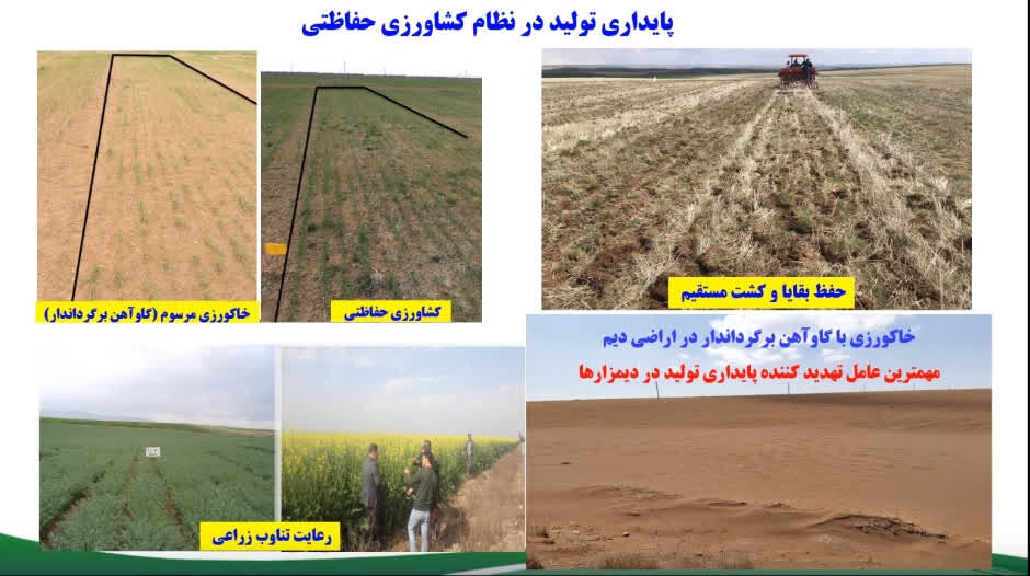 کشاورزی حفاظتی ضامن پایداری تولید در دیمزارهاست کشاورزی حفاظتی ضامن پایداری تولید در دیمزارهاست