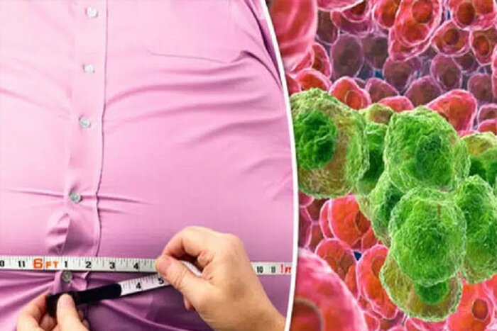 افزایش روزافزون سرطان در خراسان رضوی و ضرورت کنترل آن