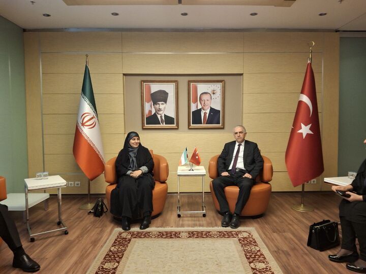 Iranian minister visits Turkiye for talks on economic cooperation